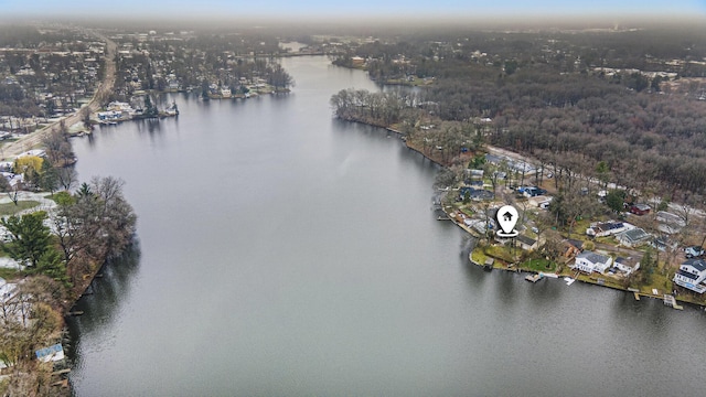 52473 Sheridan Rd, Paw Paw, MI 49079 - view of property location with a nearby body of water and a heavily wooded area