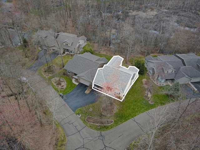 bird's eye view