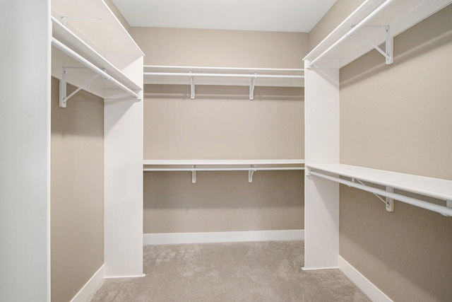 walk in closet with carpet