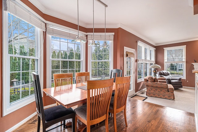 dining room featuring baseboards, wood finished floors, and a healthy amount of sunlight