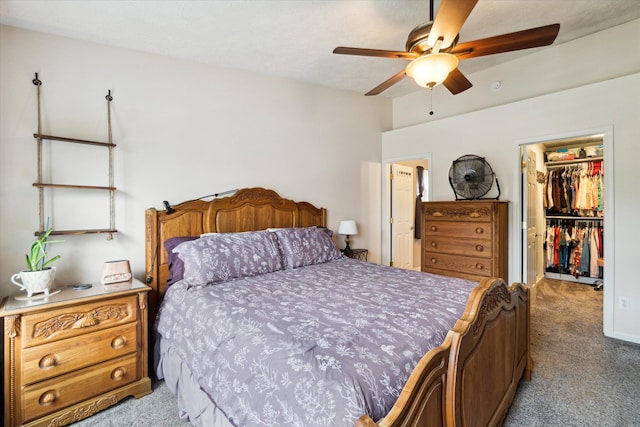 bedroom featuring ceiling fan, a walk in closet, carpet, and a closet