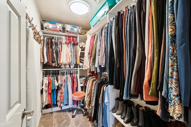 walk in closet with carpet flooring