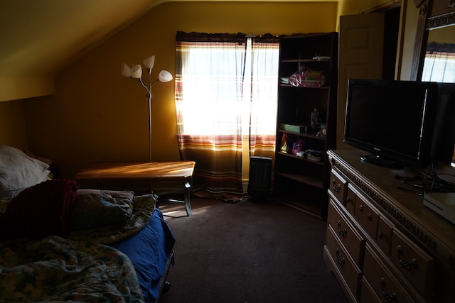 20115 Santa Barbara Dr, Detroit, MI 48221 - carpeted bedroom with vaulted ceiling