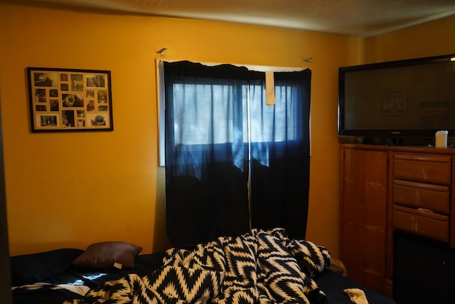20115 Santa Barbara Dr, Detroit, MI 48221 - view of bedroom
