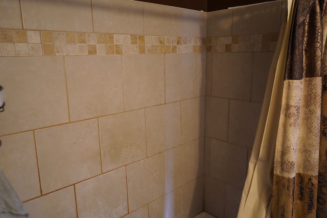 20115 Santa Barbara Dr, Detroit, MI 48221 - details with a tile shower