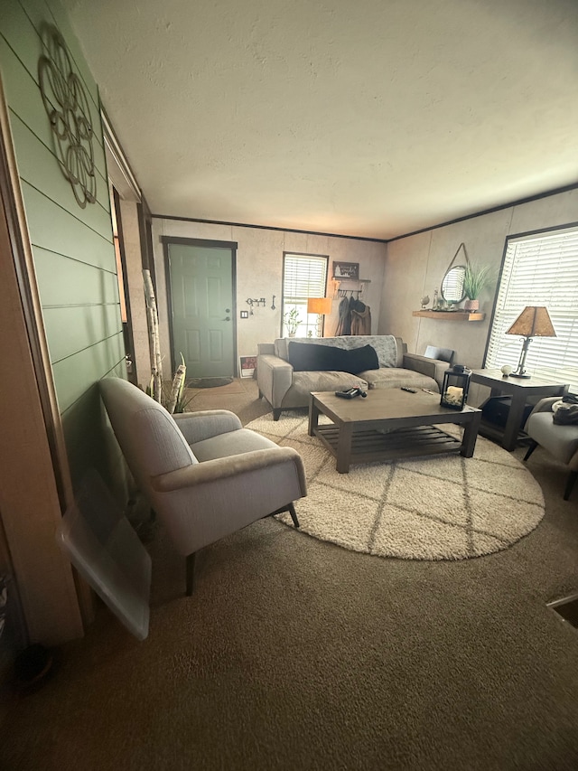 49407 Au Lac Dr E, Chesterfield, MI 48051 - carpeted living area featuring a textured ceiling