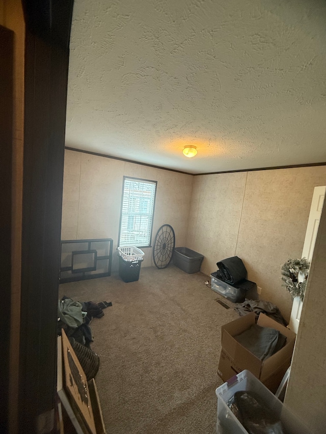49407 Au Lac Dr E, Chesterfield, MI 48051 - interior space featuring a textured ceiling