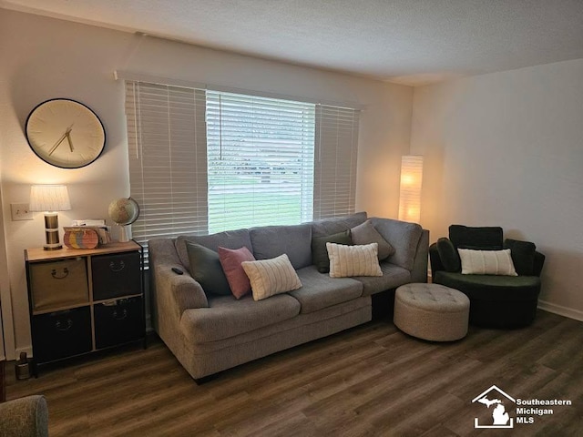 living area with baseboards and dark wood-type flooring