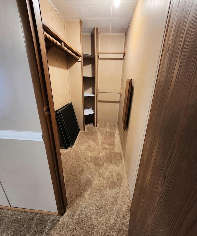 walk in closet featuring carpet
