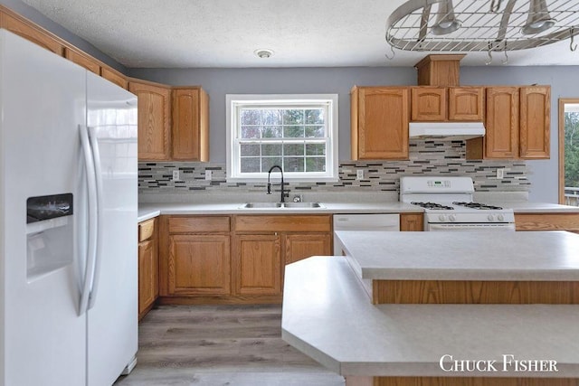 kitchen with a sink, white appliances, light wood finished floors, light countertops, and under cabinet range hood