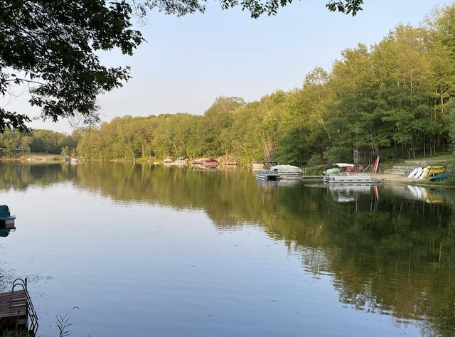 water view with a forest view