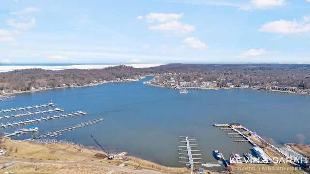 201C Outlook Dr Unit 8, Douglas, MI 49406 - aerial view featuring a water view