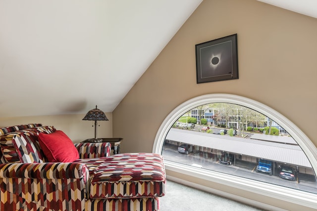 carpeted bedroom featuring lofted ceiling