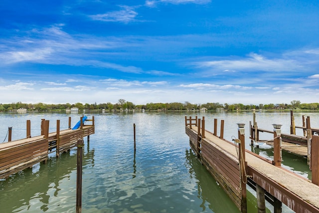 dock area with a water view