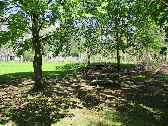 121 Wilkinson St, Chelsea, MI 48118 - view of grassy yard