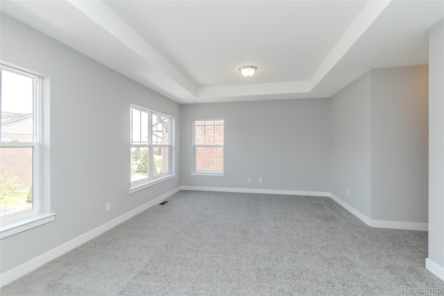 25549 Grandview Ln Unit 31, Novi, MI 48375 - unfurnished room with a tray ceiling and carpet