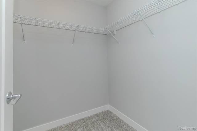 25549 Grandview Ln Unit 31, Novi, MI 48375 - walk in closet featuring carpet