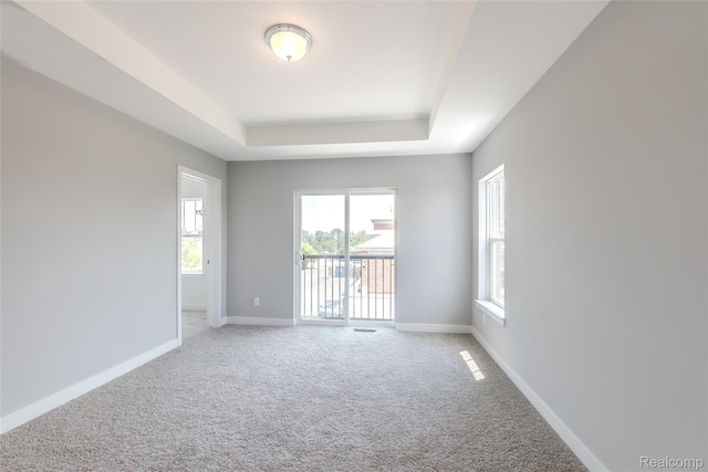 25549 Grandview Ln Unit 31, Novi, MI 48375 - unfurnished room with a raised ceiling, plenty of natural light, and light colored carpet