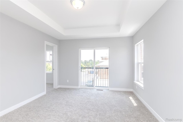 25549 Grandview Ln Unit 31, Novi, MI 48375 - empty room featuring a raised ceiling, plenty of natural light, and light colored carpet