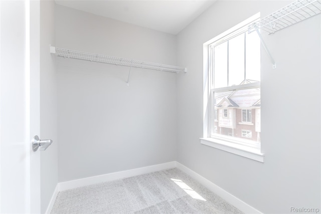 25549 Grandview Ln Unit 31, Novi, MI 48375 - walk in closet with carpet