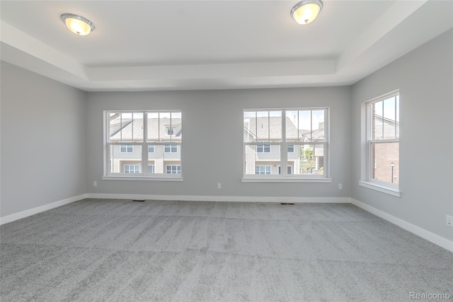 25549 Grandview Ln Unit 31, Novi, MI 48375 - unfurnished room with a raised ceiling and carpet floors