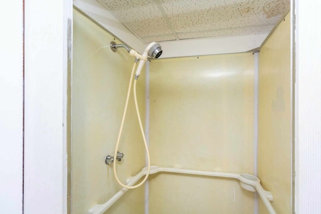 room details featuring a shower
