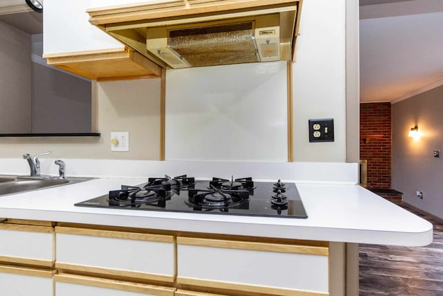 details with crown molding, ventilation hood, a sink, light countertops, and black gas cooktop