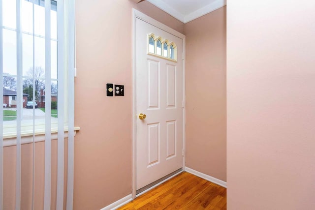 doorway featuring light wood-type flooring, baseboards, and plenty of natural light