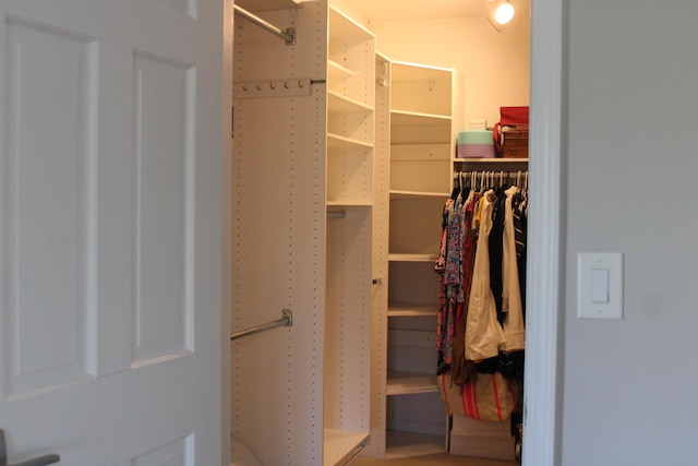 view of walk in closet