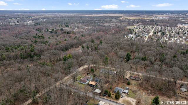175 Cora Ave, Muskegon, MI 49445 - aerial view featuring a view of trees