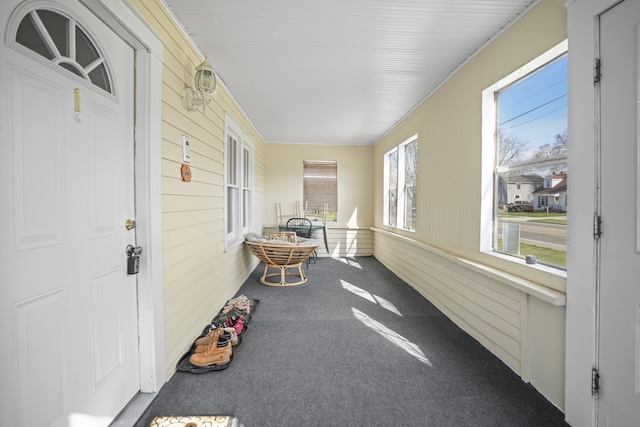 sunroom / solarium with carpet flooring and wooden walls