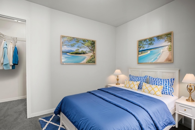 bedroom featuring a spacious closet, baseboards, and carpet floors