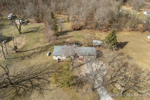 drone / aerial view