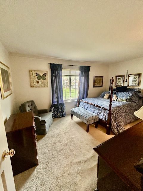 40871 Newport Dr, Plymouth, MI 48170 - photo 17