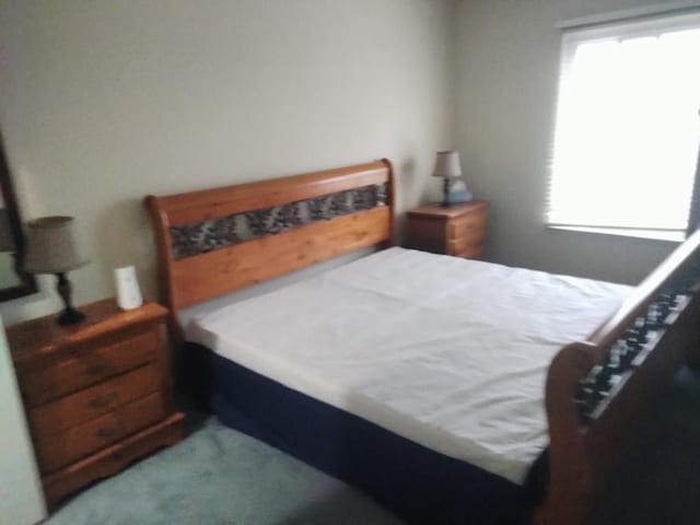 carpeted bedroom with multiple windows