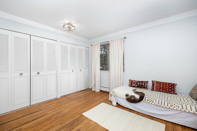 1209 Island Dr Unit 102, Ann Arbor, MI 48105 - bedroom featuring a baseboard radiator, light wood-style floors, and multiple closets