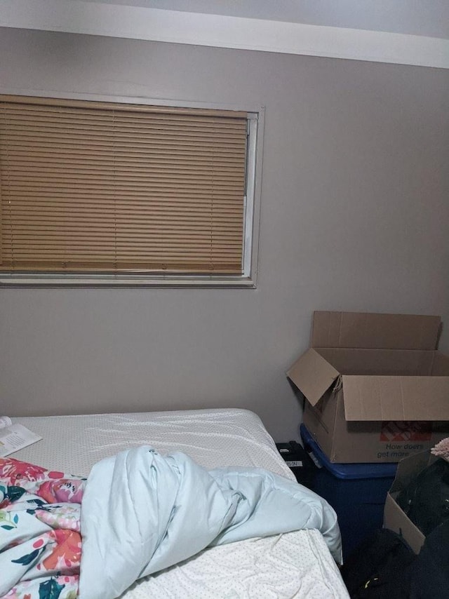 8021 Trafalgar St, Taylor, MI 48180 - view of bedroom