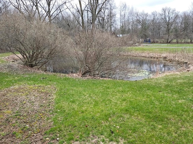 view of yard featuring a water view