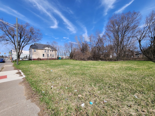 2700 Mount Elliott St, Detroit, MI 48207 - photo 5