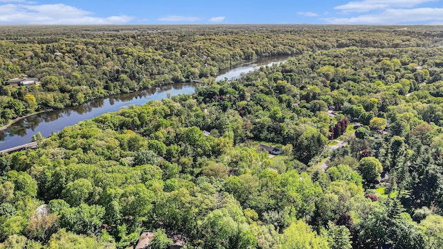2693 Laurentide Dr, Ann Arbor, MI 48103 - aerial view of a forest and a nearby body of water