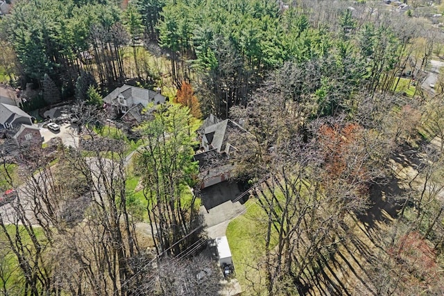 drone / aerial view