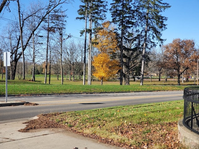 view of road with curbs