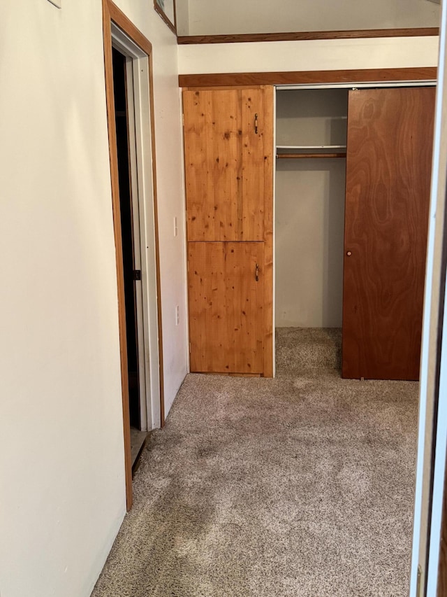 170 Tuttle Park Dr, Sherwood, MI 49089 - unfurnished bedroom with carpet flooring and a closet