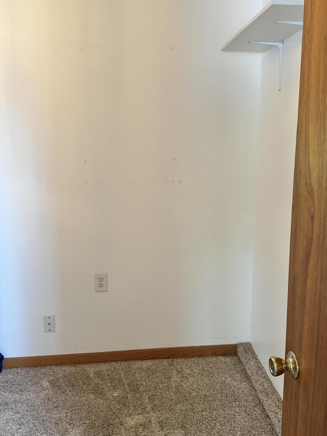 170 Tuttle Park Dr, Sherwood, MI 49089 - walk in closet featuring carpet floors