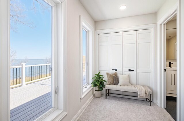 6376 Sterling Dr, Newport, MI 48166 - sitting room featuring a water view, baseboards, and carpet flooring