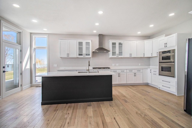 6376 Sterling Dr, Newport, MI 48166 - kitchen featuring wall chimney range hood, light countertops, appliances with stainless steel finishes, light wood finished floors, and a sink