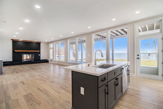 6376 Sterling Dr, Newport, MI 48166 - kitchen with a sink, light countertops, a kitchen island with sink, light wood-style floors, and a fireplace