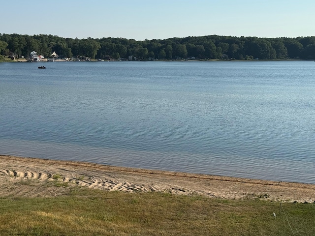 7075 N Poplar Rd, Michigan, MI 49411 - water view featuring a heavily wooded area