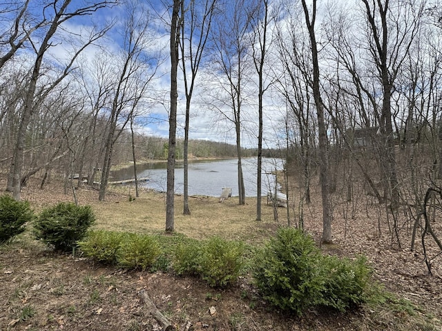 water view