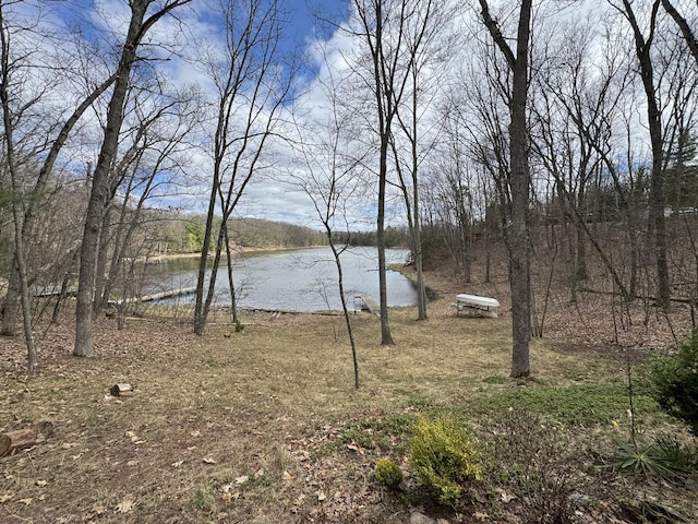 view of water feature